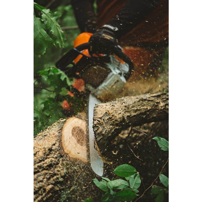 3c510120-681f-4e4e-b826-08dd7dabaef6